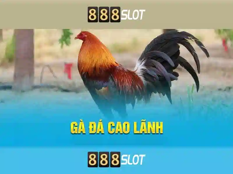 Bull Bull trực tuyến