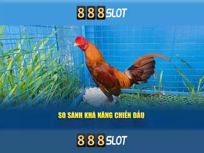 Trò chơi và thư viện slot