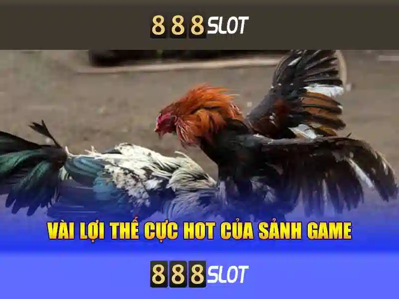 An toàn và bảo mật khi chơi An toàn và bảo mật khi chơi