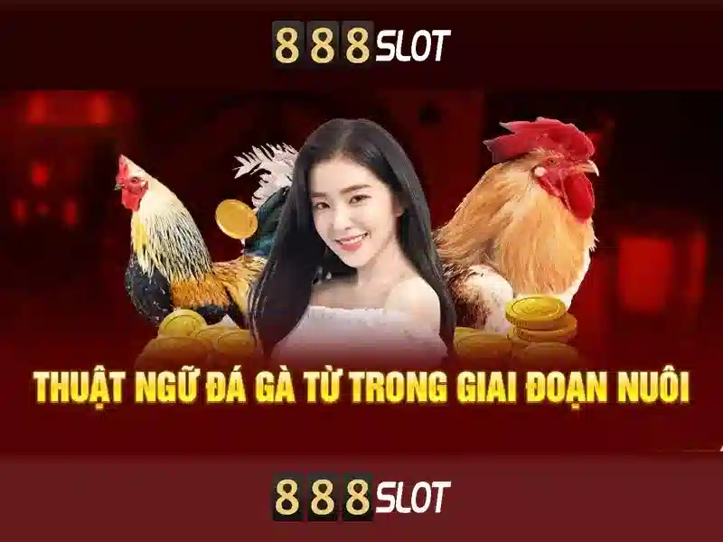 Bull Bull trực tuyến