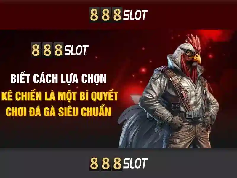 Chính sách thanh toán và an toàn Chính sách thanh toán và an toàn