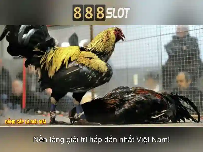 Khuyến mãi và cách tham gia Khuyến mãi và cách tham gia
